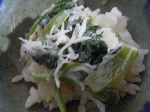 小松菜とシラスのマヨ丼